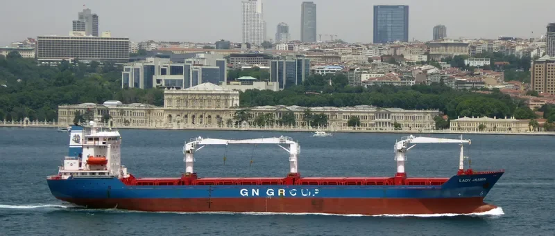 LADY JASMIN General Cargo IMO 9106974 photo 6