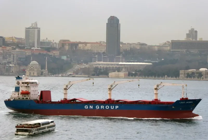 LADY JASMIN General Cargo IMO 9106974 photo 7
