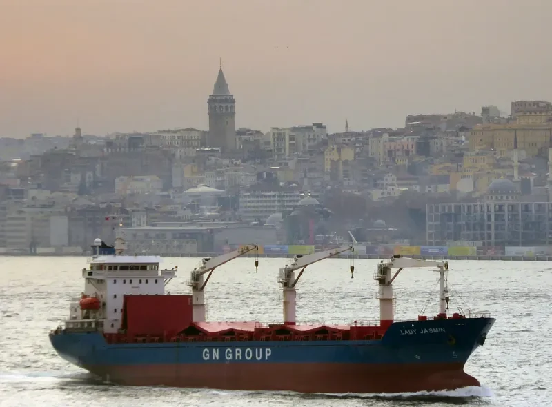 LADY JASMIN General Cargo IMO 9106974 photo 8