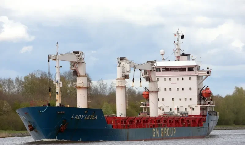 LADY LEYLA General Cargo IMO 9106986 photo 3