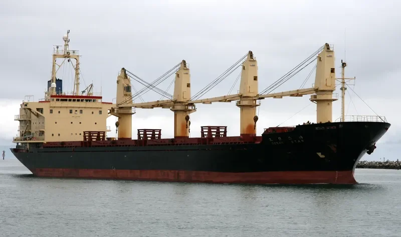 BAO LONG Bulk Carrier IMO 9107033 photo 5