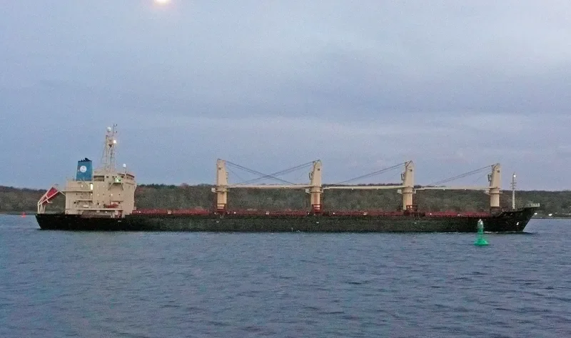 BAO LONG Bulk Carrier IMO 9107033 photo 6