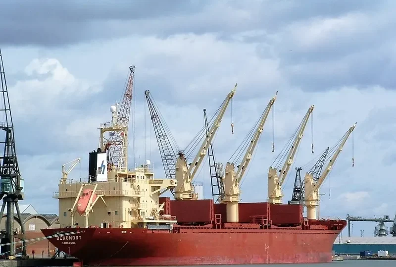 BAO LONG Bulk Carrier IMO 9107033 photo 7