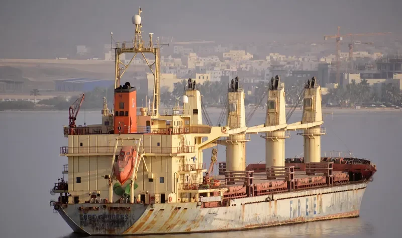 FIGARO Bulk Carrier IMO 9107045