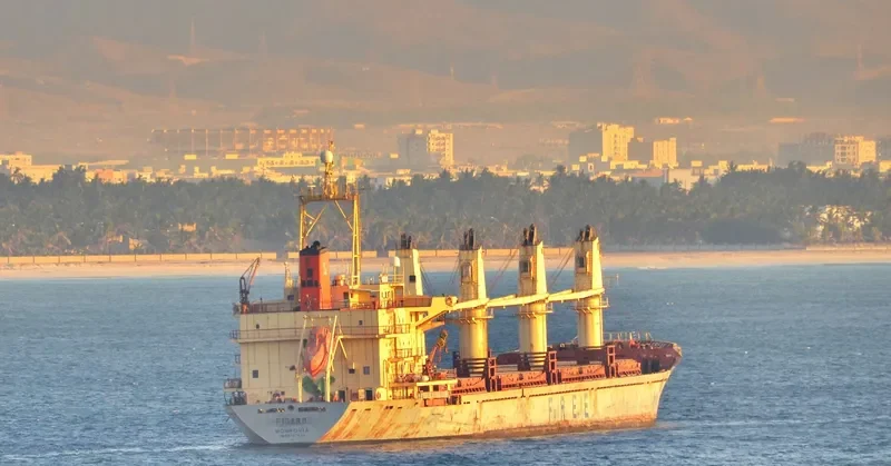FIGARO Bulk Carrier IMO 9107045 photo 2