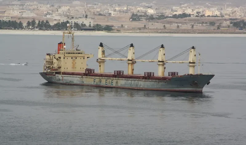 FIGARO Bulk Carrier IMO 9107045 photo 6