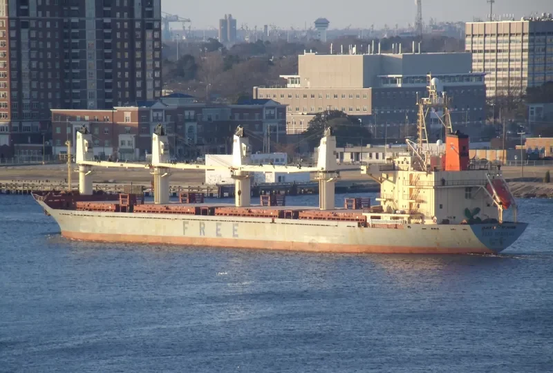 FIGARO Bulk Carrier IMO 9107045 photo 7