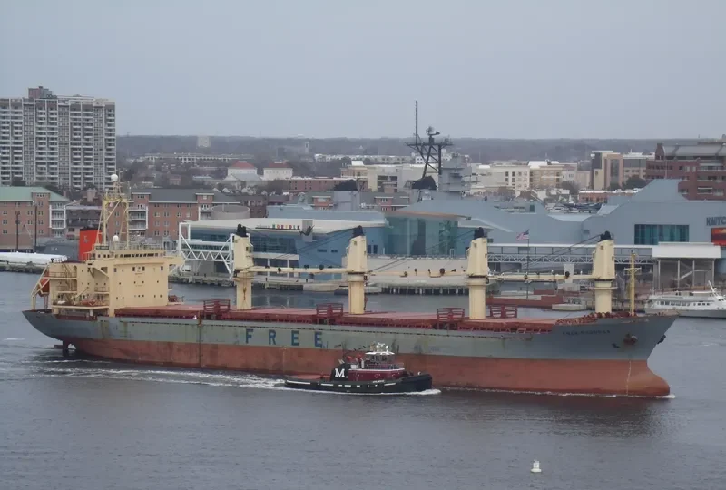 FIGARO Bulk Carrier IMO 9107045 photo 8