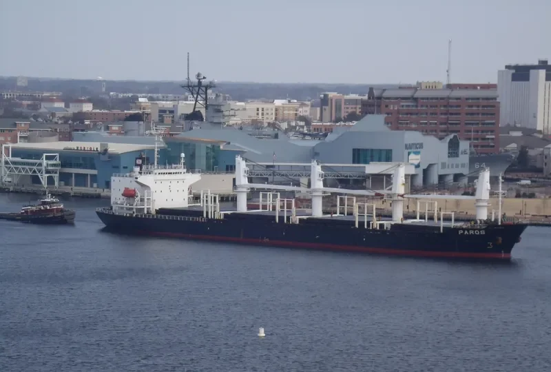FIGARO Bulk Carrier IMO 9107045 photo 9
