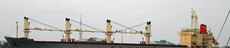 FIGARO Bulk Carrier IMO 9107045 photo 10
