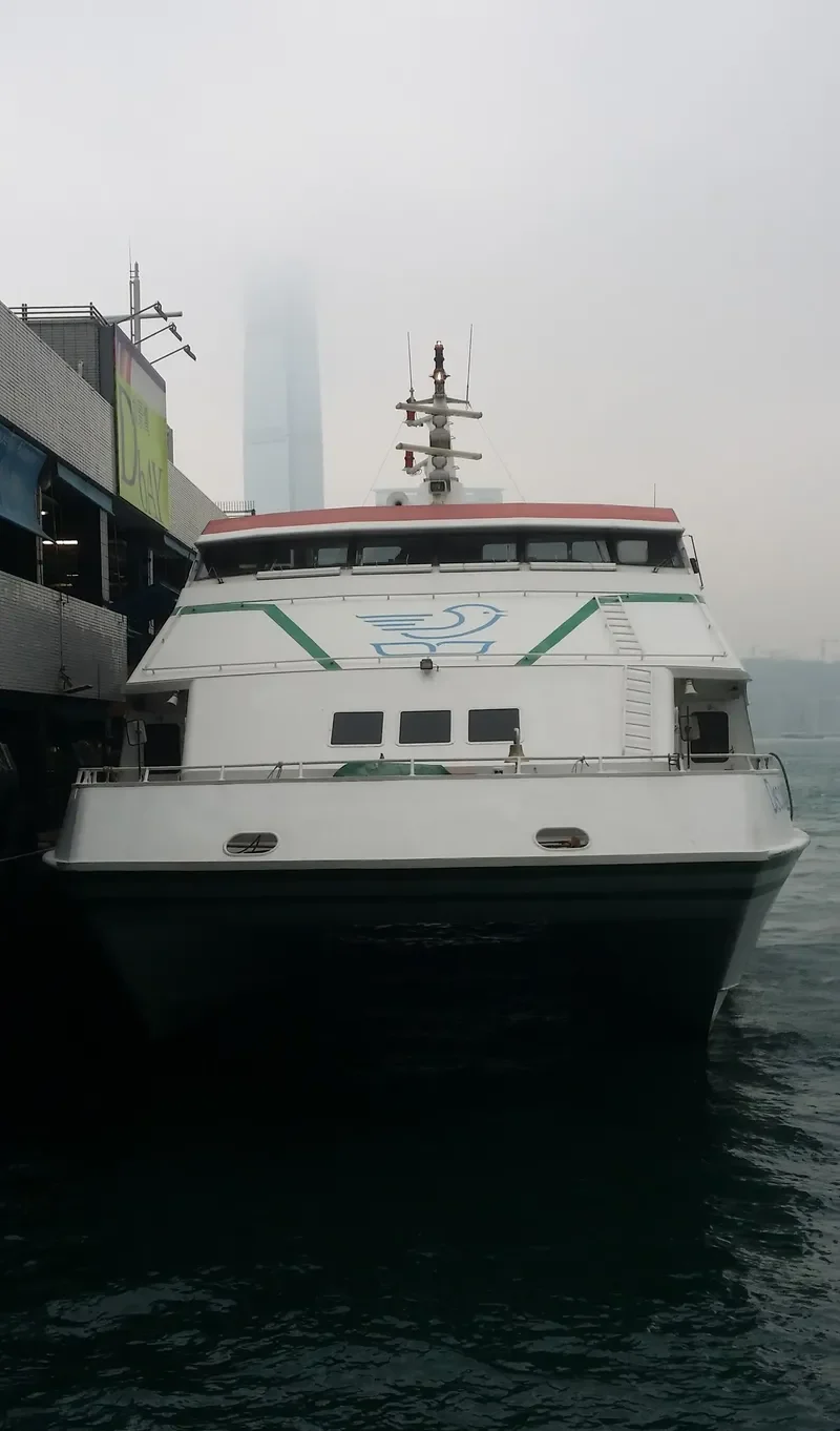 DISCOVERY BAY 3 Passenger Ship IMO 9107162 photo 9