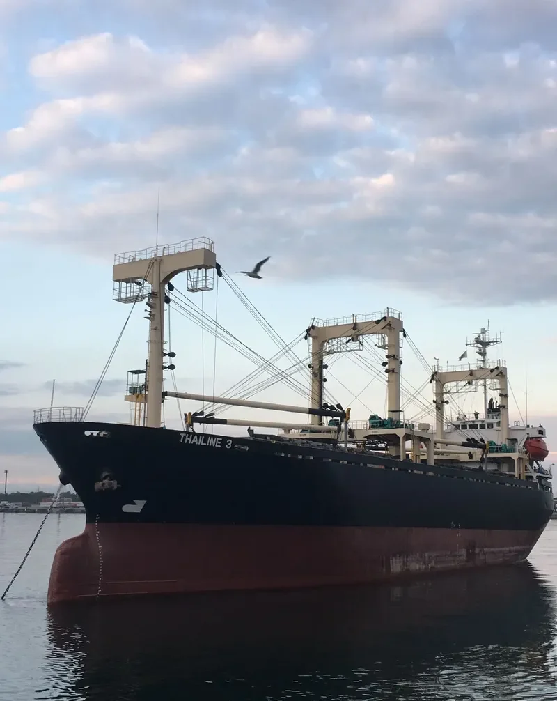 FRIEND 3 General Cargo IMO 9107253