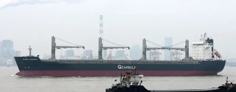PINE ARROW General Cargo IMO 9107306 photo 7