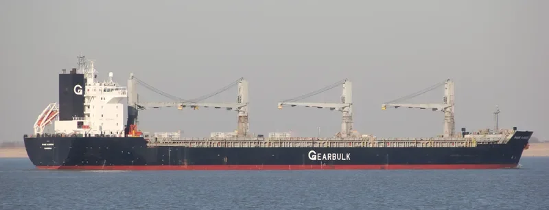 PINE ARROW General Cargo IMO 9107306 photo 8