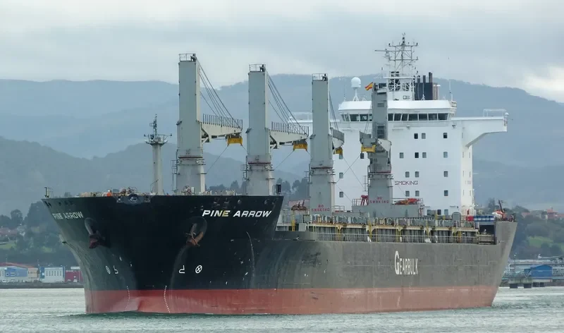 PINE ARROW General Cargo IMO 9107306 photo 10