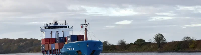 THEA II General Cargo IMO 9107394 photo 10