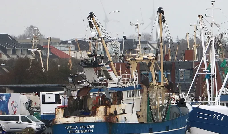 STELLA POLARIS General Cargo IMO 9107605 photo 2