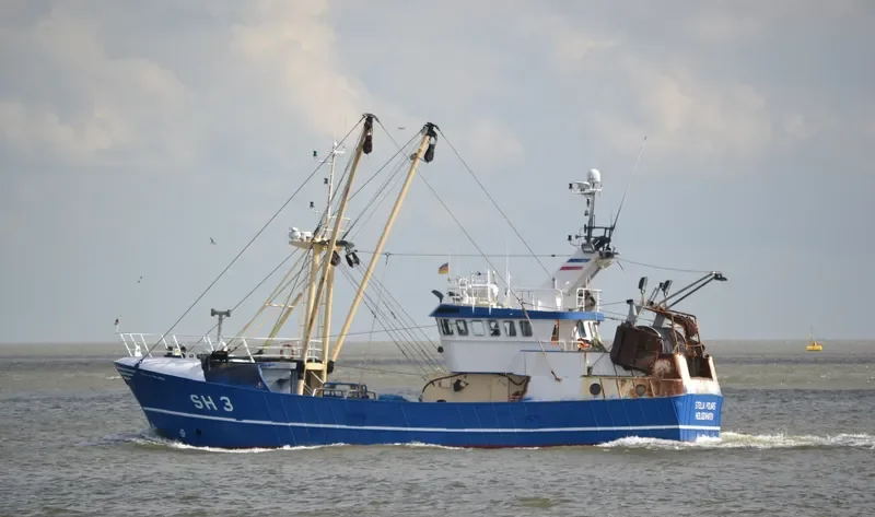 STELLA POLARIS General Cargo IMO 9107605 photo 3