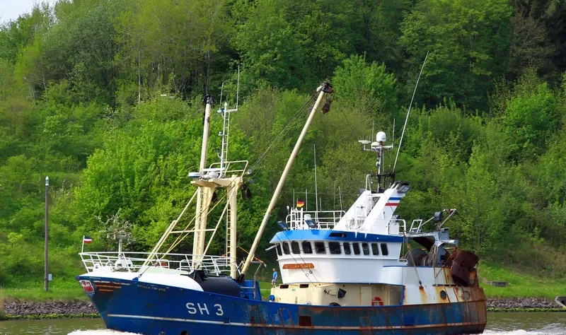 STELLA POLARIS General Cargo IMO 9107605 photo 4