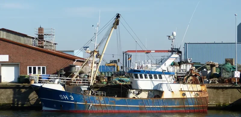 STELLA POLARIS General Cargo IMO 9107605 photo 10