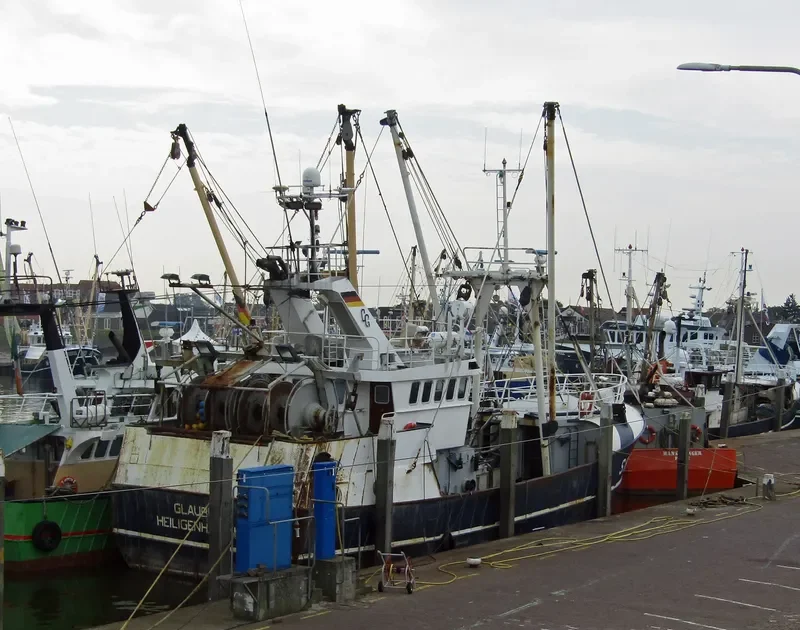 GLAUBE General Cargo IMO 9107617 photo 3