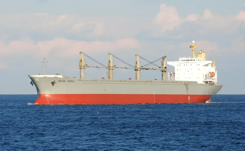 ONE DESTINY Bulk Carrier IMO 9107667 photo 2