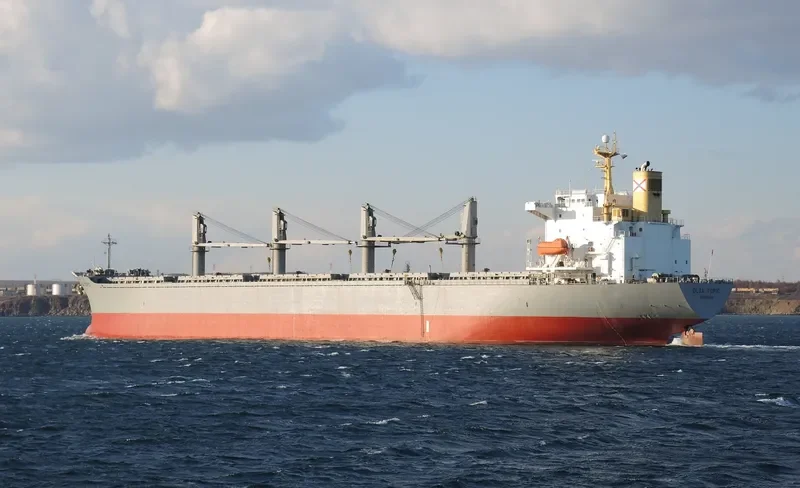 ONE DESTINY Bulk Carrier IMO 9107667 photo 3