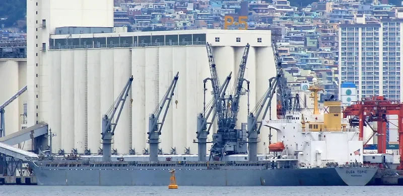 ONE DESTINY Bulk Carrier IMO 9107667 photo 4