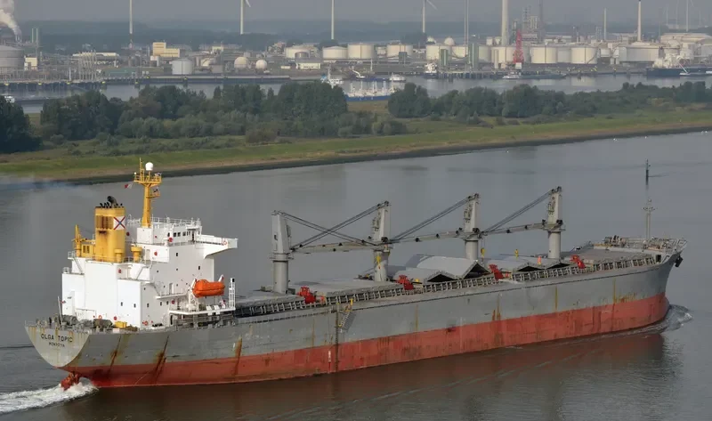 ONE DESTINY Bulk Carrier IMO 9107667 photo 6
