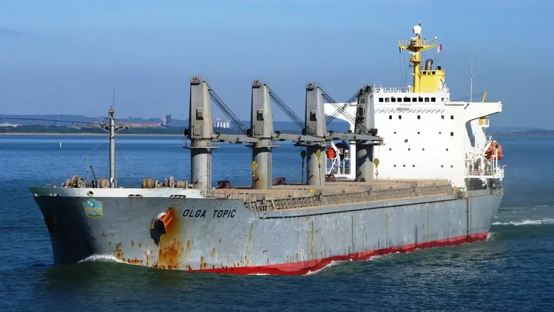 ONE DESTINY Bulk Carrier IMO 9107667 photo 7