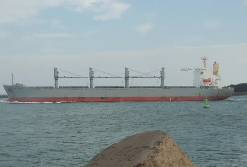 ONE DESTINY Bulk Carrier IMO 9107667 photo 8