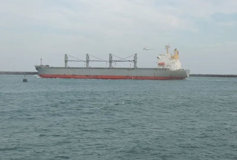 ONE DESTINY Bulk Carrier IMO 9107667 photo 9