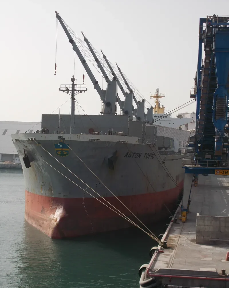 ALBY VICTORY Bulk Carrier IMO 9107679 photo 2