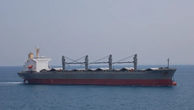 ALBY VICTORY Bulk Carrier IMO 9107679 photo 3