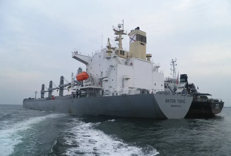 ALBY VICTORY Bulk Carrier IMO 9107679 photo 4