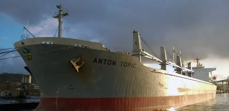 ALBY VICTORY Bulk Carrier IMO 9107679 photo 5