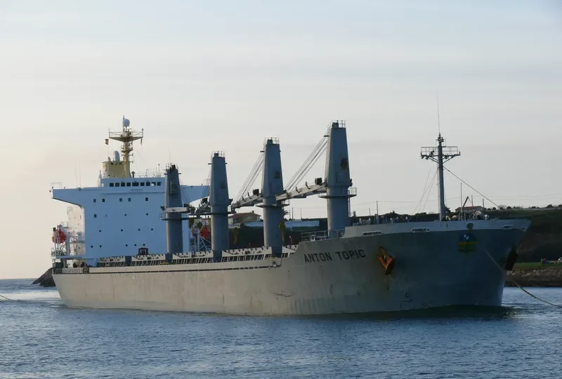 ALBY VICTORY Bulk Carrier IMO 9107679 photo 6