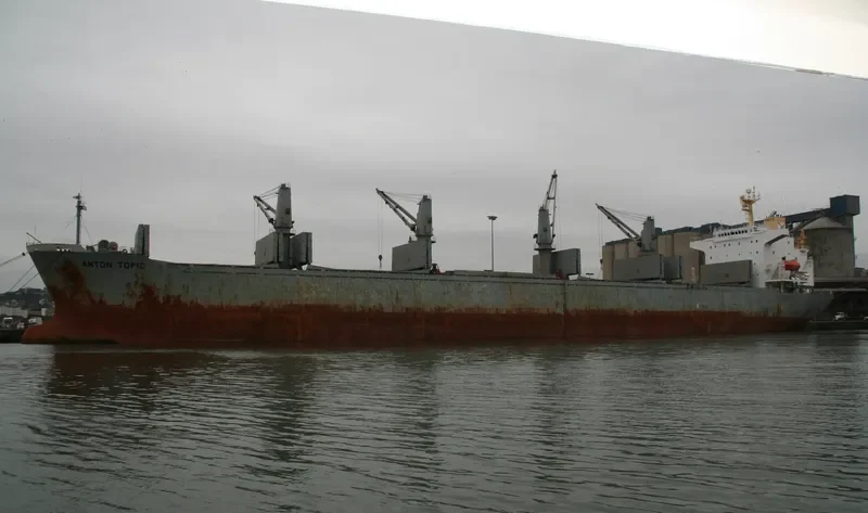 ALBY VICTORY Bulk Carrier IMO 9107679 photo 7
