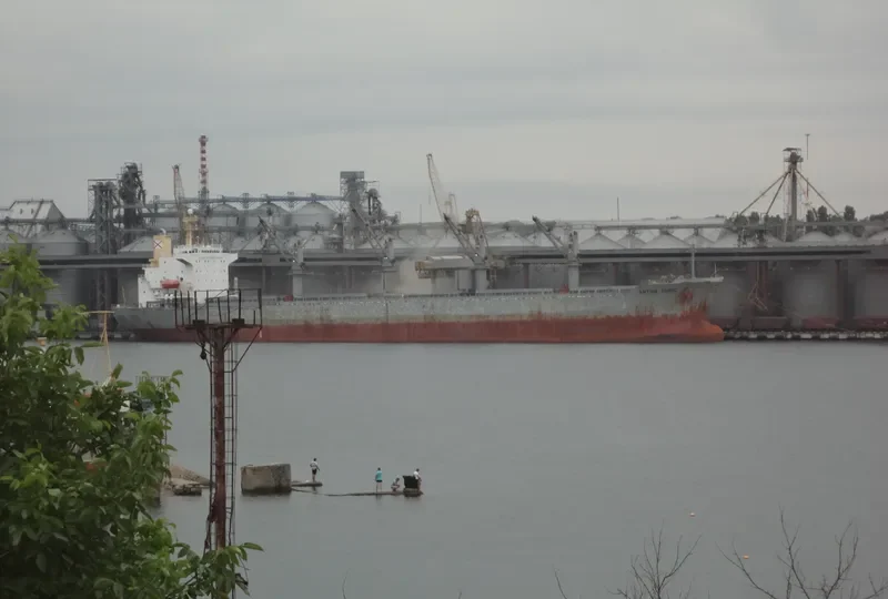ALBY VICTORY Bulk Carrier IMO 9107679 photo 8