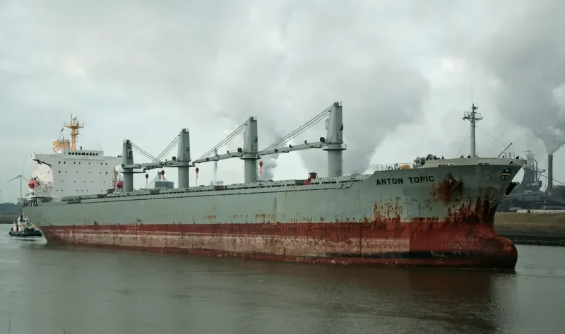 ALBY VICTORY Bulk Carrier IMO 9107679 photo 9