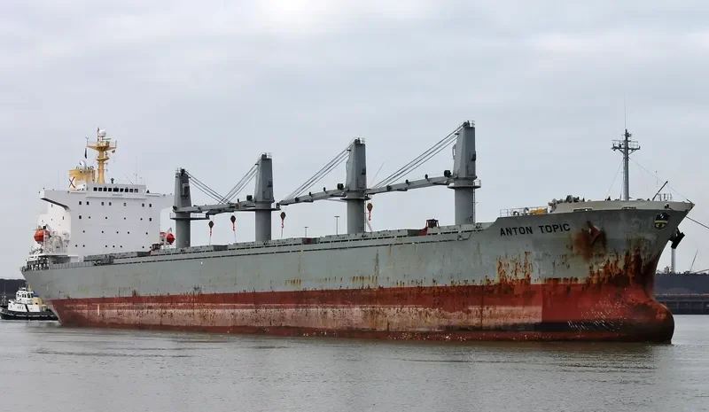 ALBY VICTORY Bulk Carrier IMO 9107679 photo 10