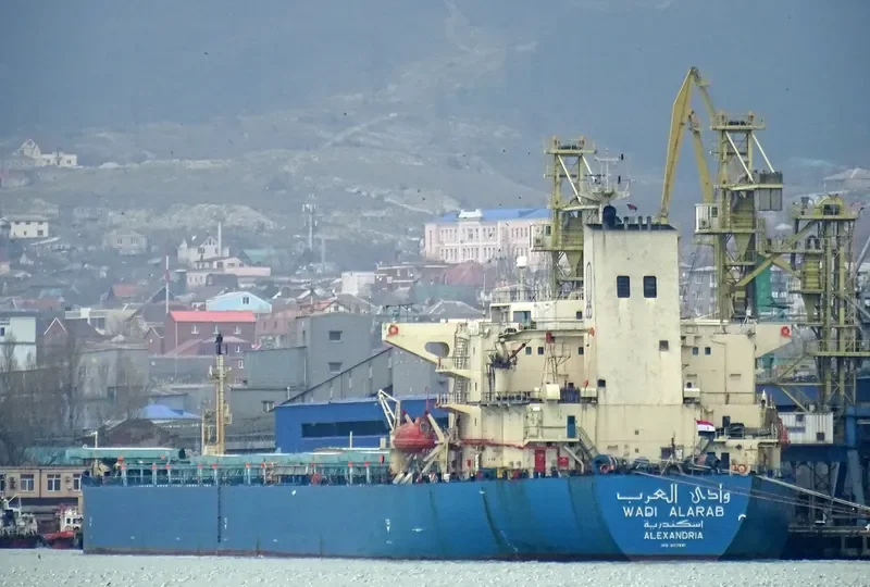 WADI ALARAB Bulk Carrier IMO 9107681