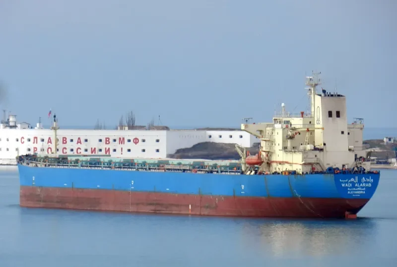 WADI ALARAB Bulk Carrier IMO 9107681 photo 2