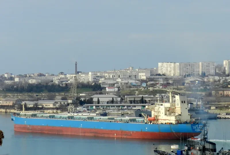 WADI ALARAB Bulk Carrier IMO 9107681 photo 3