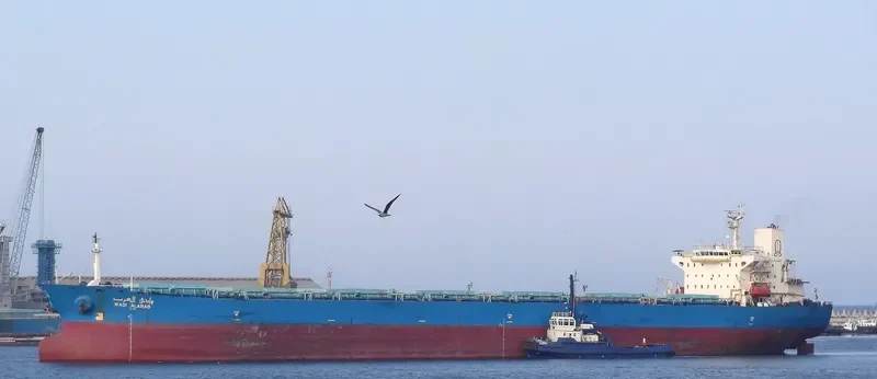 WADI ALARAB Bulk Carrier IMO 9107681 photo 4