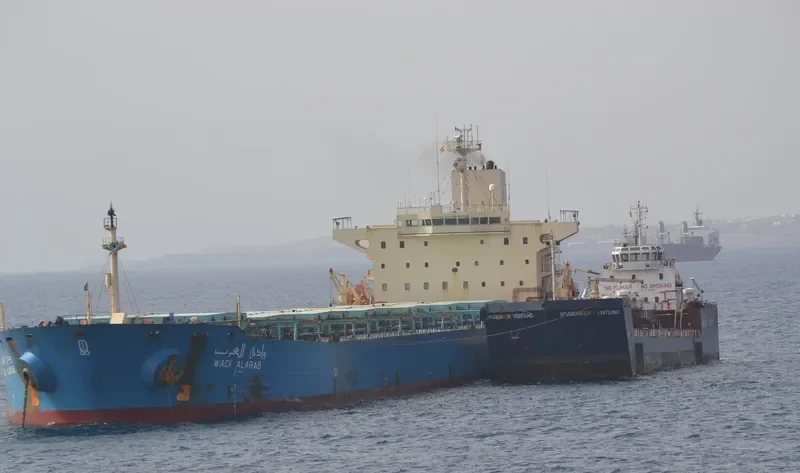 WADI ALARAB Bulk Carrier IMO 9107681 photo 5