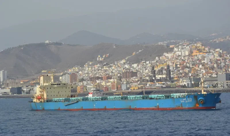 WADI ALARAB Bulk Carrier IMO 9107681 photo 6