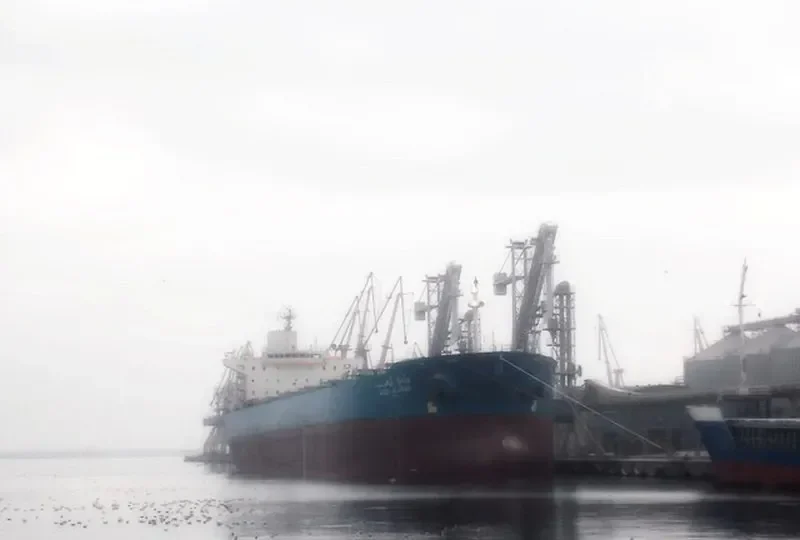 WADI ALARAB Bulk Carrier IMO 9107681 photo 7