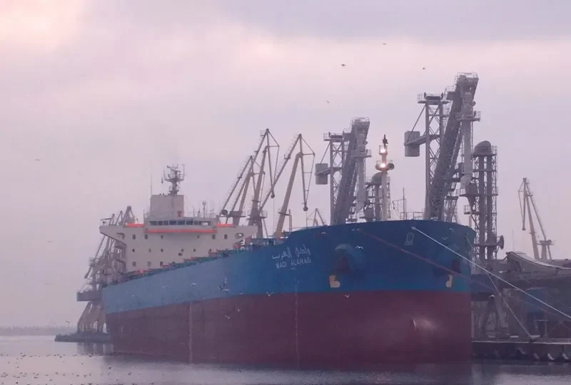 WADI ALARAB Bulk Carrier IMO 9107681 photo 8