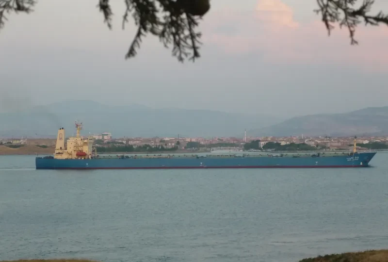 WADI ALARAB Bulk Carrier IMO 9107681 photo 10
